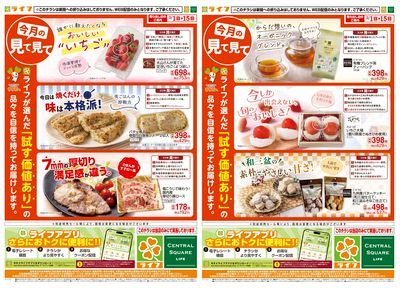 今月の見て見て