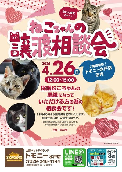ねこちゃん譲渡相談会(トモニー)