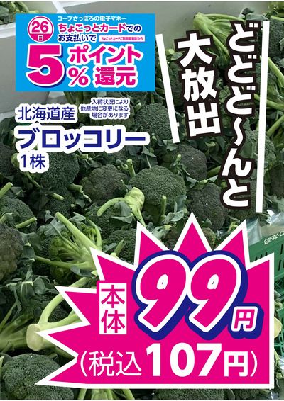 7/26限りのお買得品 この企画みのがさないで