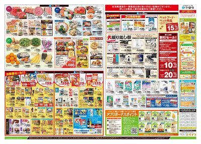 2/7号 総力祭/柑橘集めました