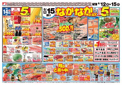 なかなかデー うら