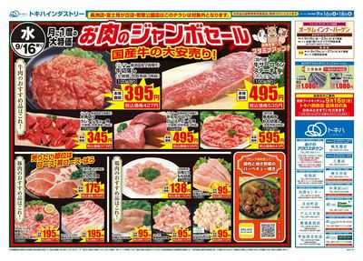 26TO0916B4全店-1