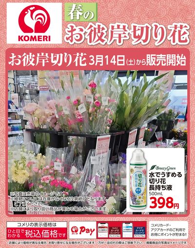 春のお彼岸切り花