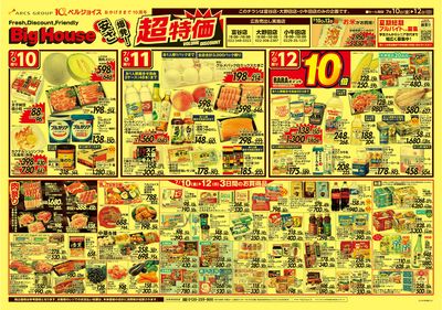 ビッグハウス安さ爆発!超特価