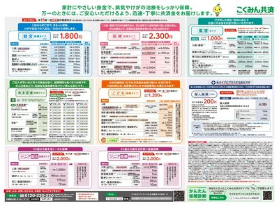 家計にやさしい掛金で、病気やけがの治療をしっかり保障。