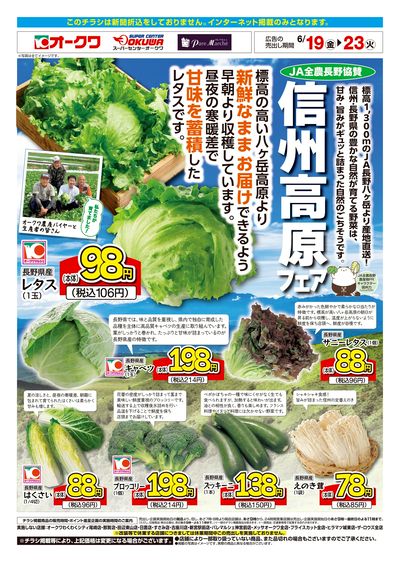 6月19日:信州高原野菜WEB