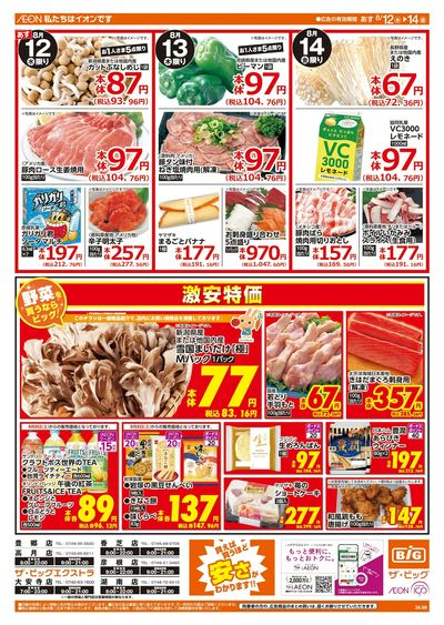 8/12週中チラシ(オモテ)