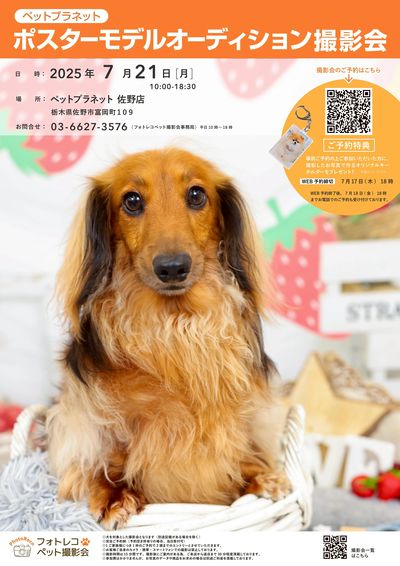 ペットモデルオーディション撮影会開催!