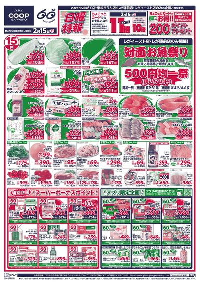 2/15号 オモテ