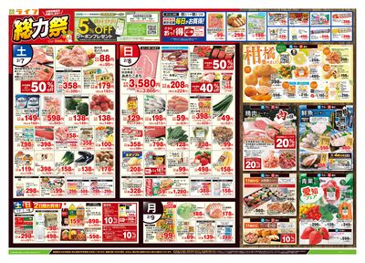 2/7号 総力祭/柑橘集めました