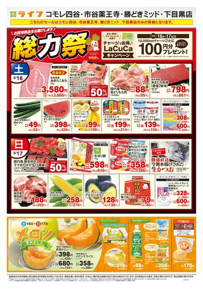 5/16号 総力祭/メロン集めました