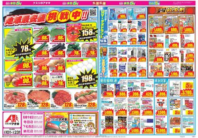 6月10日開始チラシ:表
