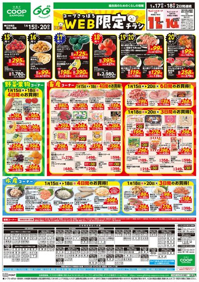 1/15号 WEB限定チラシ