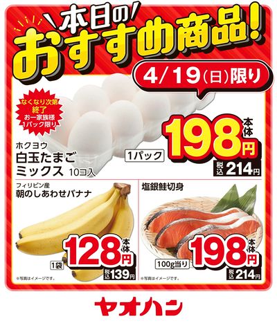 本日のおすすめ商品!