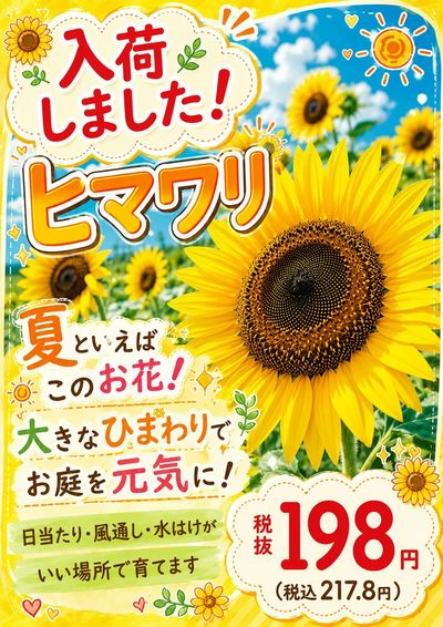 ムサシ須坂店おススメ情報!