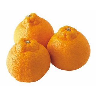 熊本県産他デコポン