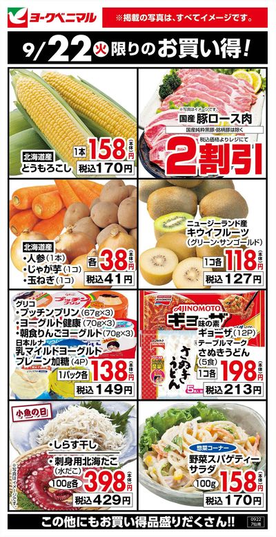9/22限りのお買い得!