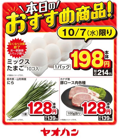 本日のおすすめ商品!