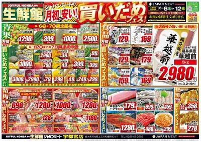 6/6号