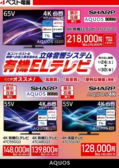 立体音響システム有機ELテレビ