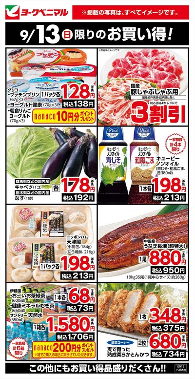 9/13限りのお買い得!
