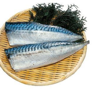各産地 塩サバフィーレ 1パック