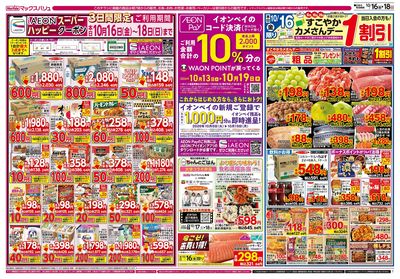 10/16号 すこやかカメさんデー/えらぼう企画:オモテ