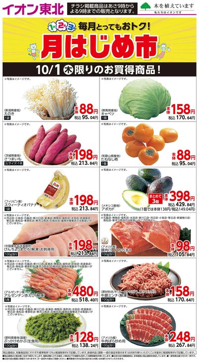日替わり特集