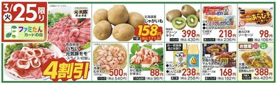 3/25(火)限定