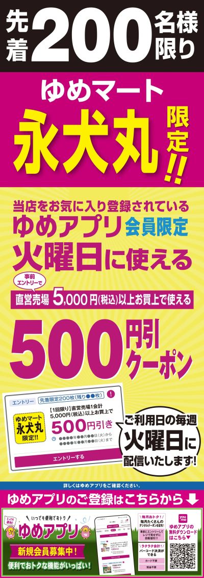 永犬丸限定 500円引クーポン