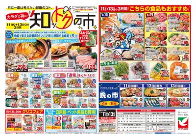 11/11号 ウラ