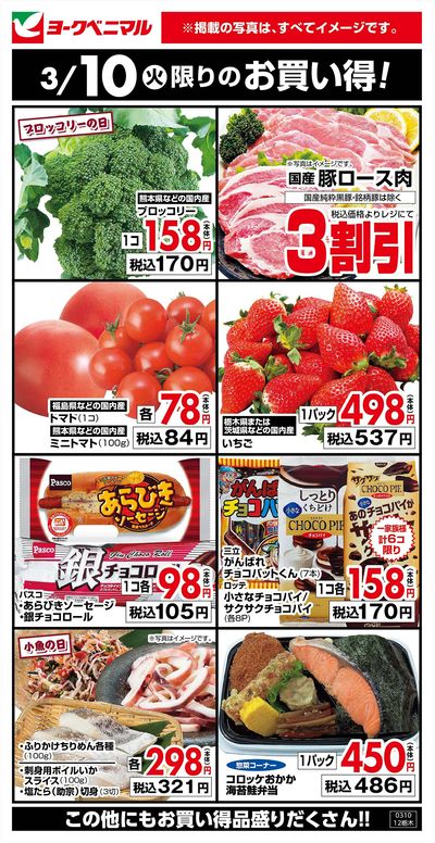 3/10限りのお買い得!