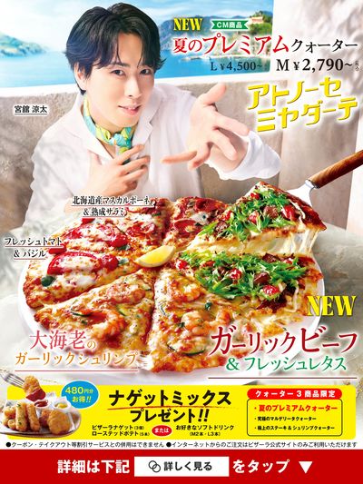 夏のプレミアムクォーター注文で ナゲットミックス480円分プレゼント