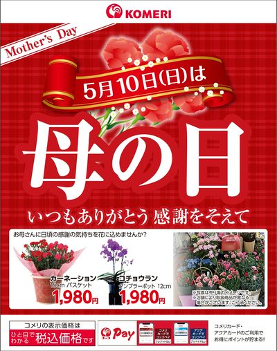 〈5月10日(日)〉 母の日