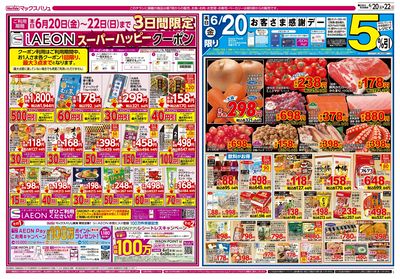 6/20号 韓国フェア/お客さま感謝デー:オモテ