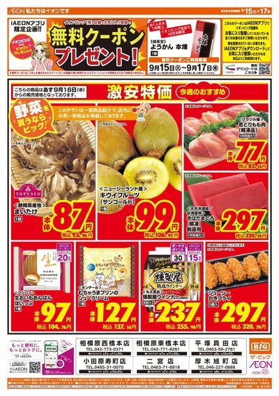 9月15日号均一チラシ(おもて)