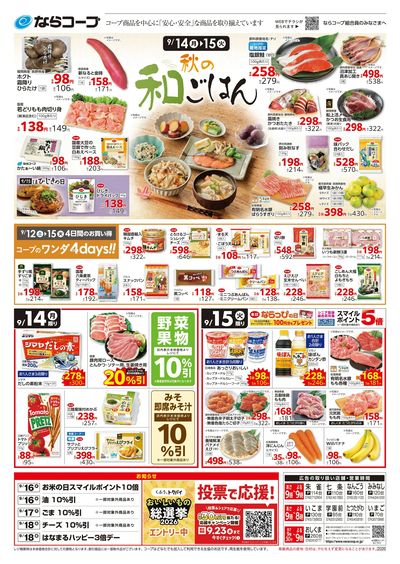 9月14日~9月15日チラシ裏