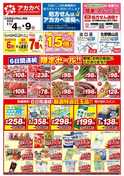 11月の限定チラシ オモテ