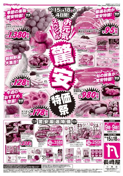 お元気SP 驚安特価祭 オモテ