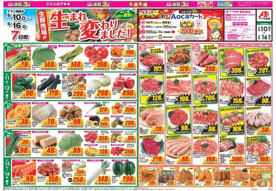 6月10日開始チラシ:表