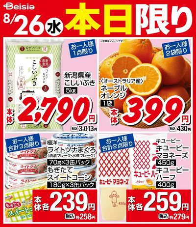 8/26限りのお買い得!