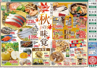 M.26.1002_04_秋の味覚③B3_表
