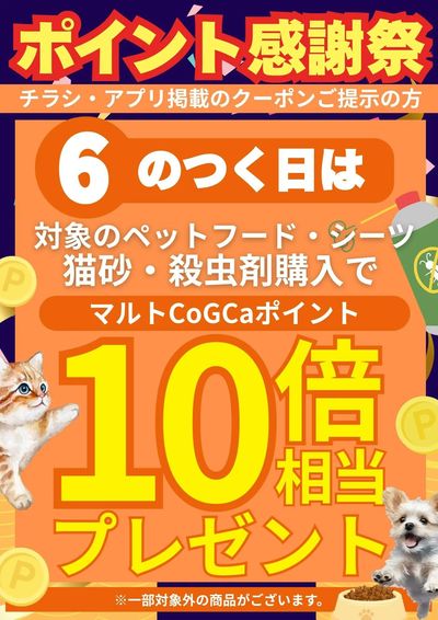 6のつく日は