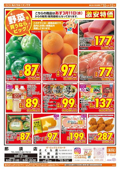 3/10週中チラシ(オモテ)