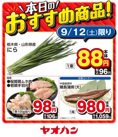 本日のおすすめ商品!