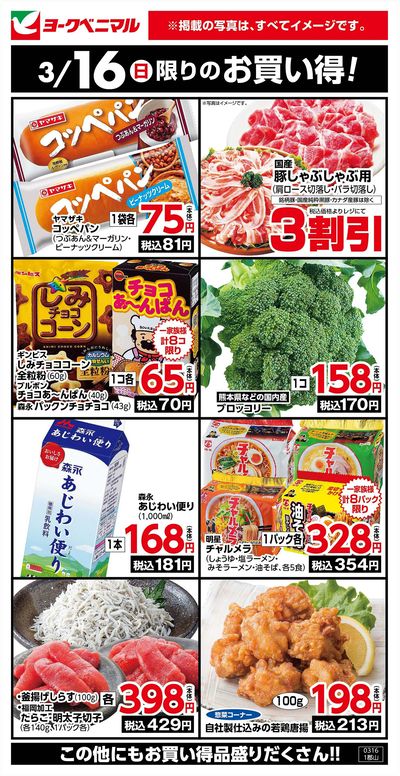 3/16限りのお買い得!