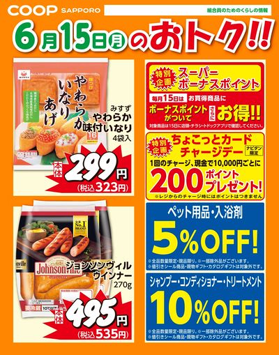 6月15日お買得品