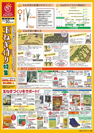 たまねぎ苗予約