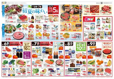 6月6日~6月9日チラシ表