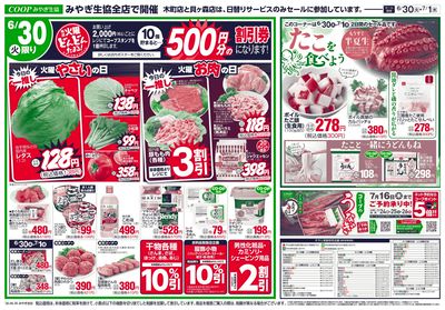 半夏生&コープの日+火水 オモテ